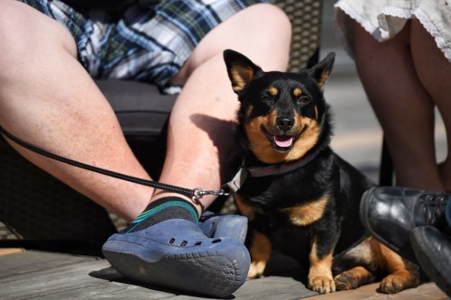 Cuteness overload! Such fabulous shoes. Wow. (Photo credit: Henry Söderlund)
